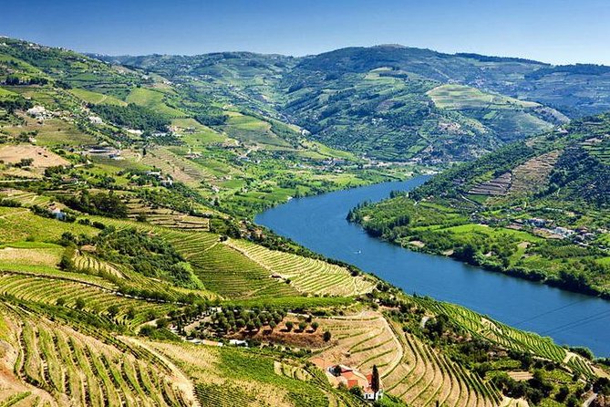 Complete Douro Valley Wine Tour with Lunch, Wine Tastings and River Cruise - Estrada Nacional 222: Portugal’s Famous Road and the Best Photo Angles