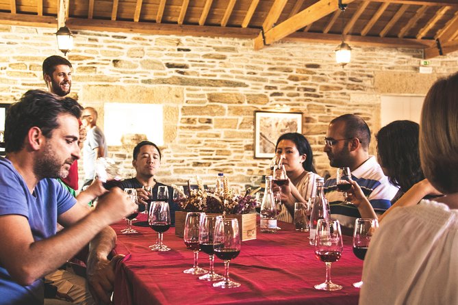 Complete Douro Valley Wine Tour with Lunch, Wine Tastings and River Cruise - Getting There: Pickup, the Ride Through the Region, and When You’ll Stop