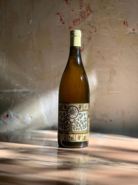 Córdoba: Discover the Soul of Spanish Natural Wine & Cuisine - The Wine Flight: Sparkling, Whites, Reds, and a Sweet Wine