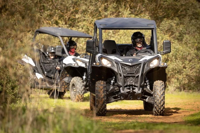 cross country - Booking, Price, and the Value of a 2-Hour Buggy Tour