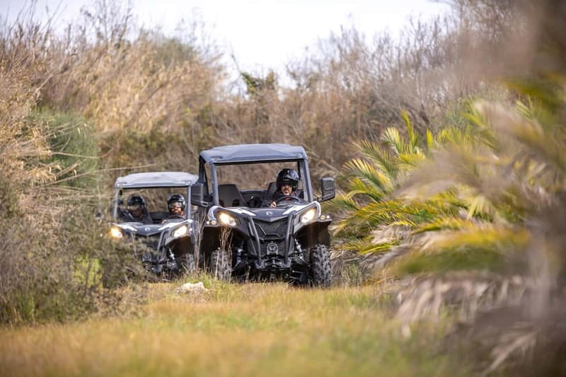 cross country - The Off-Road Route: Rocky Paths Through the Porto Mountains