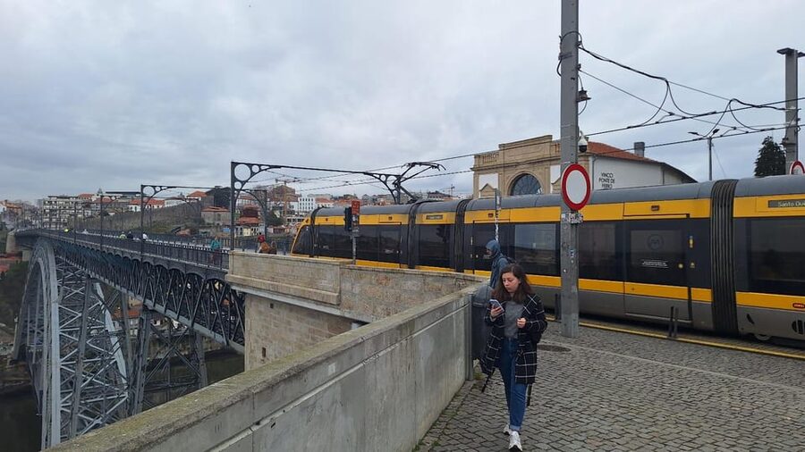 Customizable Full Day Porto Tour: Choose Your Experience - Key things I’d prioritize before booking
