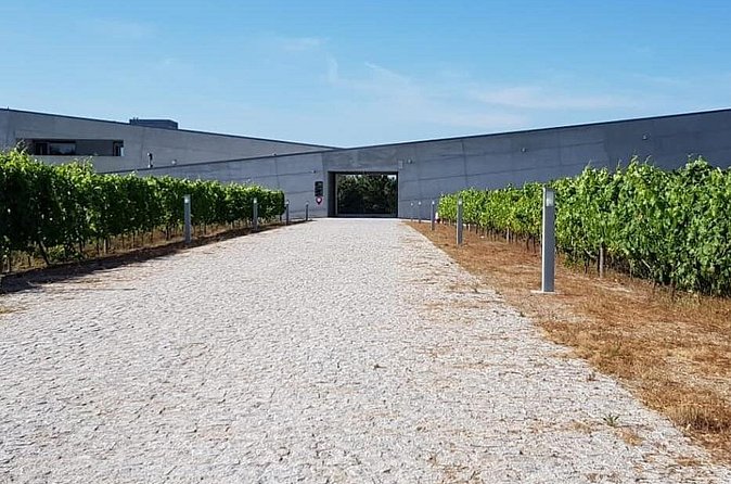 Dão Wine Region: Portuguese version on Bordeaux - Price and Value: What You’re Really Paying For