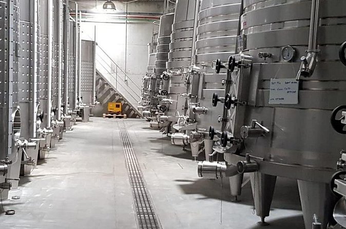 Dão Wine Region: Portuguese version on Bordeaux - Who This Tour Suits Best (and Who Might Want Something Else)