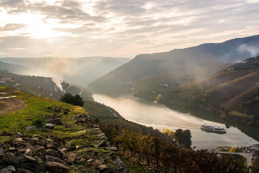 Day Cruise from Porto to Pinhão with Breakfast and Lunch - Régua and Bagaúste: Where the Wine Town Energy Mixes With River Quiet