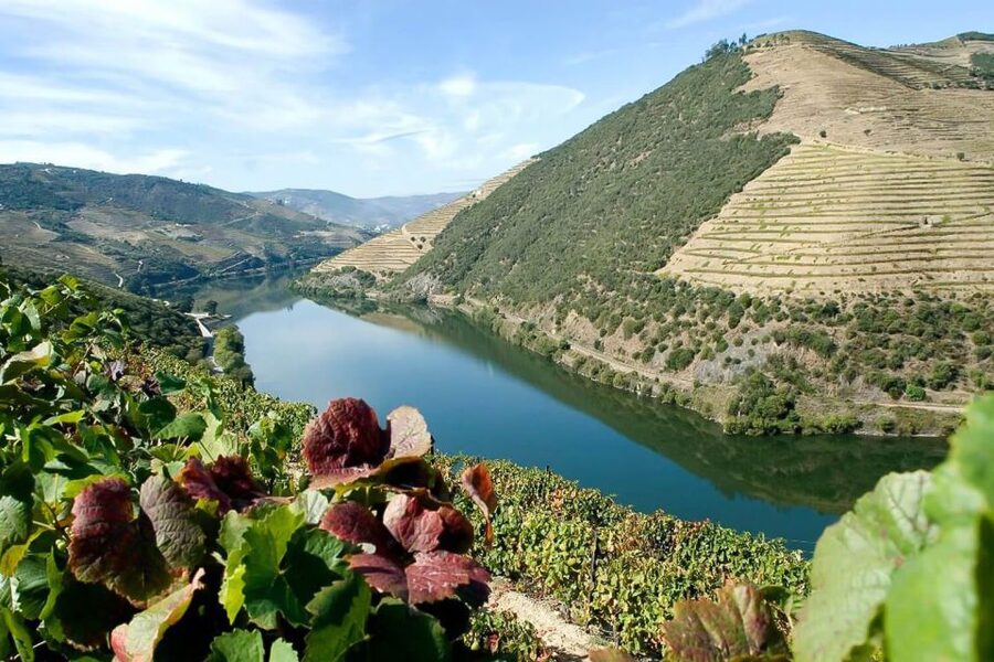 Day Cruise from Porto to Pinhão with Breakfast and Lunch - Meals Onboard: Breakfast and Lunch That Actually Fuel the Day