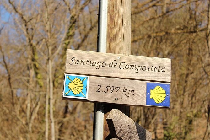 Day Trip from Porto to Santiago de Compostela and Valença - Comfort on the road: small issues can become big ones