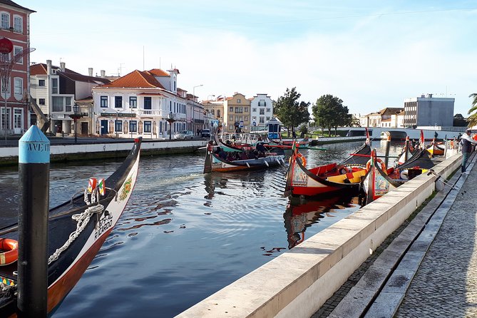 DayTrip Porto to Lisboa (optional visit to Aveiro_Coimbra_Fátima) Since 400eur - How This Porto-to-Lisbon Day Trip Really Works