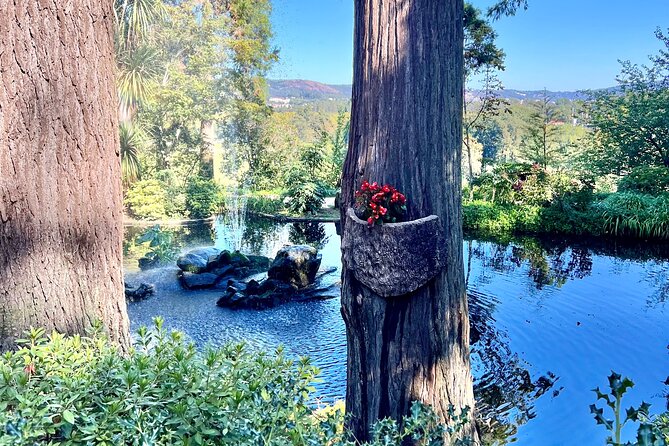 Discovering Magical Garden of Vines Tour in Quinta da Aveleda - Entering Quinta da Aveleda: the garden walk that sets the tone