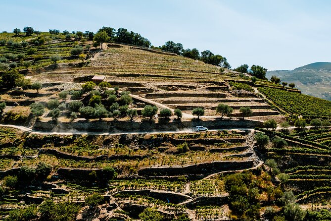 Douro Adventure - Tour 4x4 | Full Day Private Tour | All Included - What to expect from your guide: Antonio, Ricardo, and Carlos