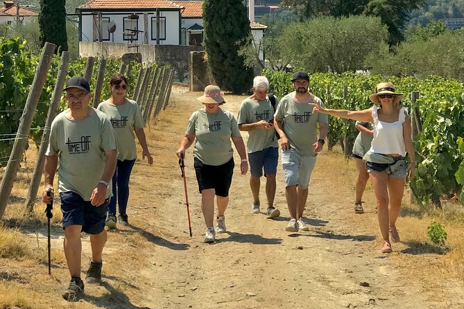 Douro: luxury walking tour with lunch at Quinta da Pacheca - Logistics that actually affect your day