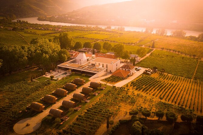 Douro: luxury walking tour with lunch at Quinta da Pacheca - What to bring for this luxury walking day