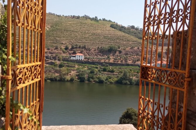 Douro: luxury walking tour with lunch at Quinta da Pacheca - Who should book this Douro luxury walking tour