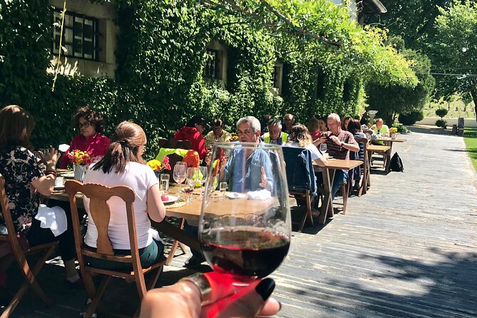 Douro: luxury walking tour with lunch at Quinta da Pacheca - The 2-hour vineyard walk with Douro River views