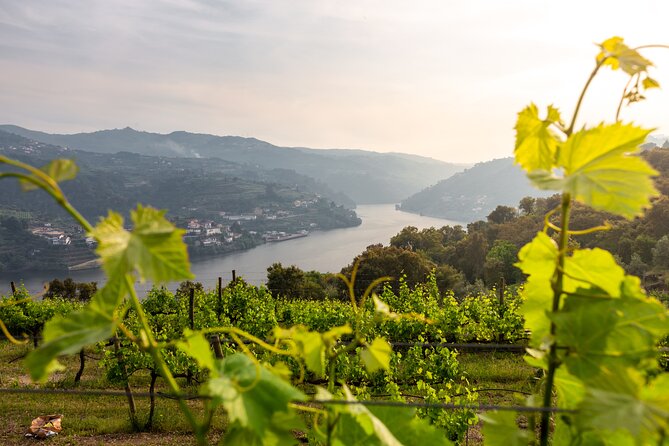 Douro Private Tour with Transport - Key things to know before you go