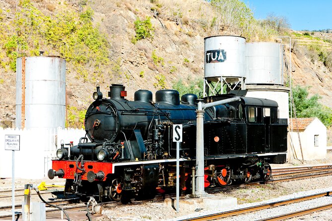Douro Private Tour with Transport - Timing, Duration, and the Lunch Gap