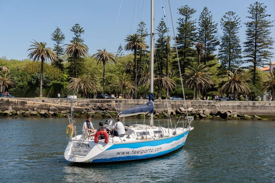 Douro River Cruise with Cheese & Tonic Porto in a Sailboat - What makes the value work at about $59 per person