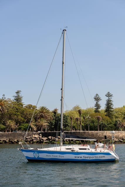 Douro River Cruise with Cheese & Tonic Porto in a Sailboat - Who this cruise suits best, and who might want something else