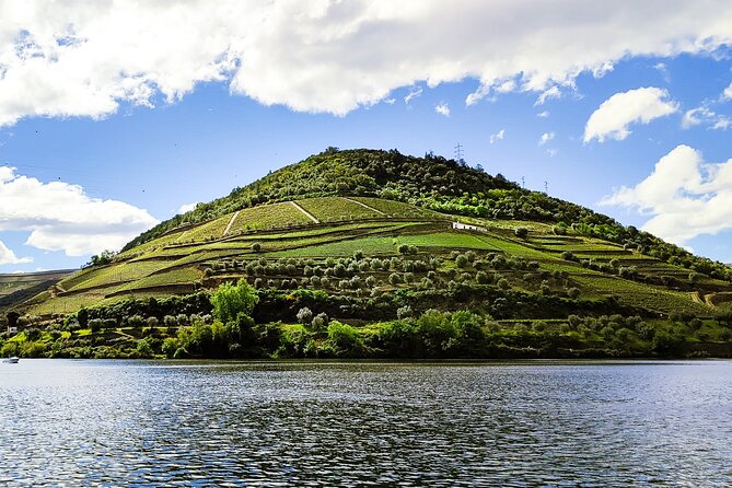 Douro | Roots & History - Tour with a local - Key points