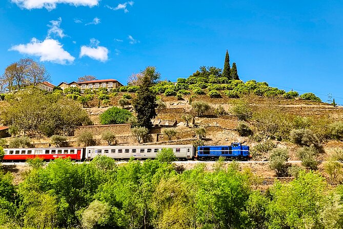 Douro | Roots & History - Tour with a local - First Wine Tasting at a Quinta Near Pinhão