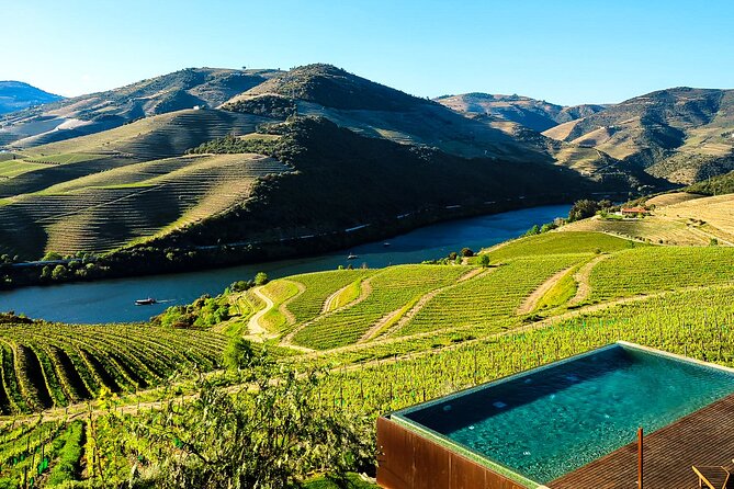 Douro | Roots & History - Tour with a local - Along the N222: Scenic Roads and Douro Wine History Talk