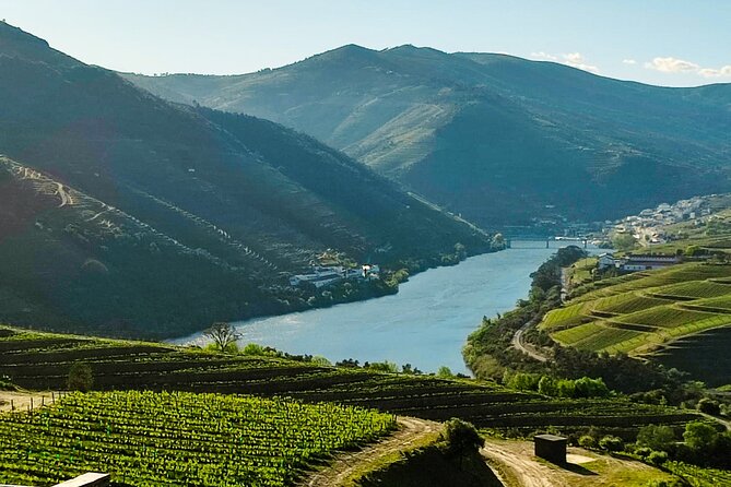 Douro | Roots & History - Tour with a local - Throwing Clay in a Ceramic Studio Stop