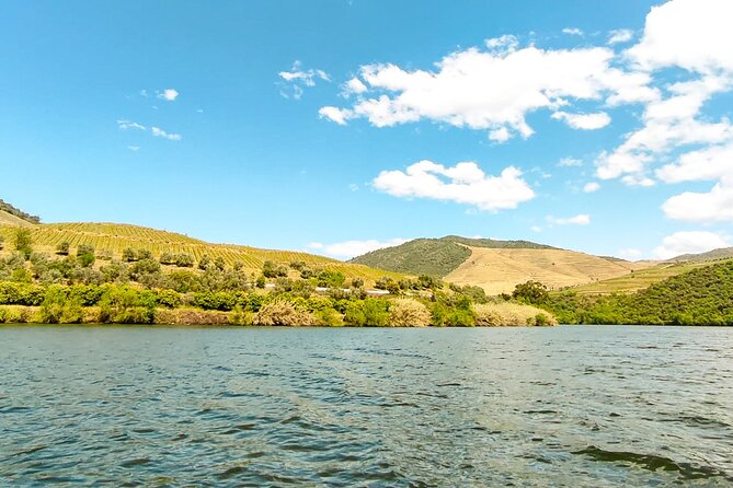 Douro | Roots & History - Tour with a local - Cumieira Winery Visit and Second Wine Tasting