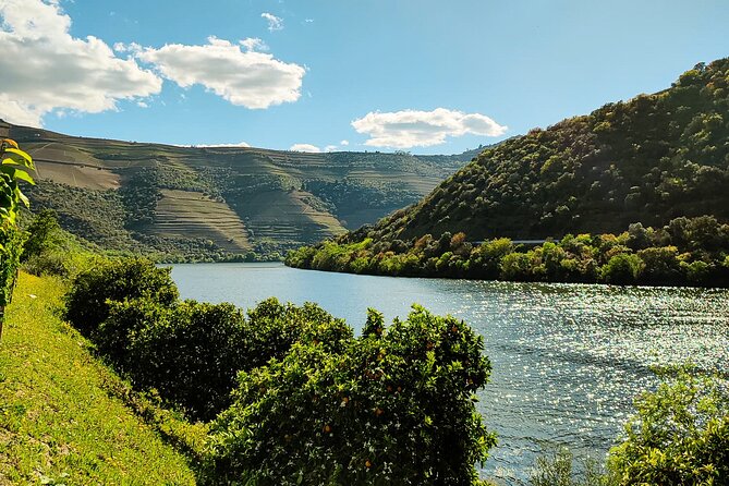 Douro | Roots & History - Tour with a local - Pinhão Viewpoint: Terraces, Rivers, and Photo Time