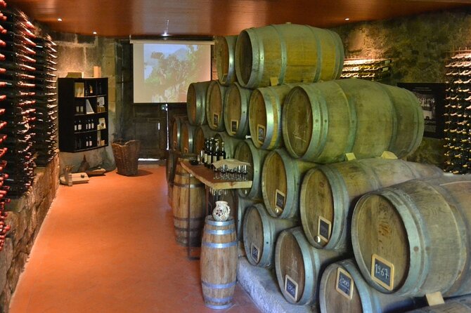 Douro Three Winery Small Group Tour with Lunch and Tastings - Key highlights at a glance