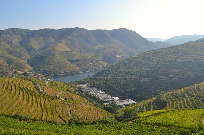 Douro Three Winery Small Group Tour with Lunch and Tastings - Three wineries means you taste with a framework, not just fun samples
