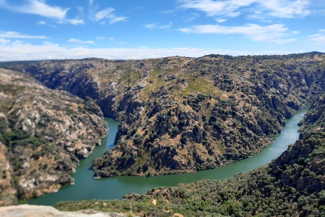 Douro Tour History and Wine - Key highlights you will feel right away