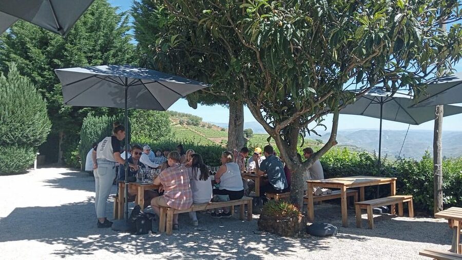 Douro Tour with Wine Tasting and Visit to Lamego and Pinhão - Douro Valley in one day, with an easy start at Lapa