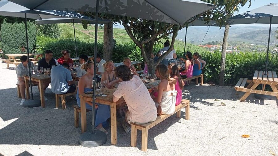 Douro Tour with Wine Tasting and Visit to Lamego and Pinhão - Vineyard wine tasting with family hosts and real Portuguese hospitality