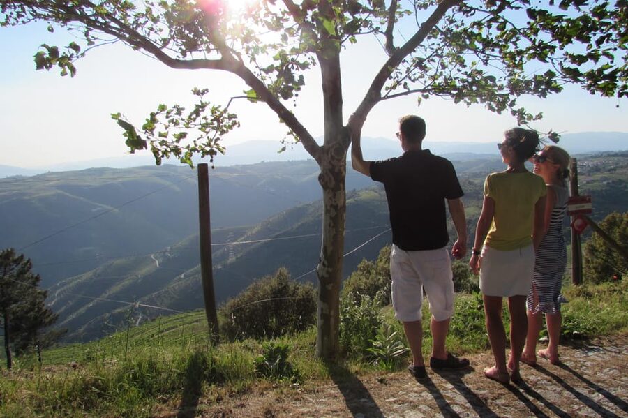 Douro Tour with Wine Tasting and Visit to Lamego and Pinhão - Guides, group size, and how the day can feel different
