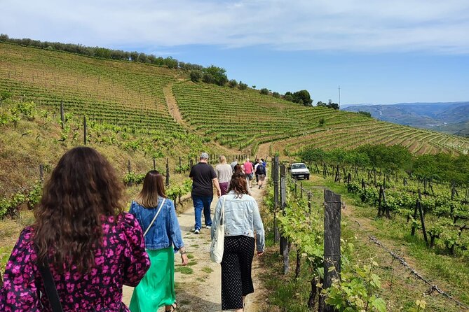 Douro Tour with Wine Tasting, River Cruise and Visit to Lamego - A 10-hour Douro highlight run, starting at 8:30