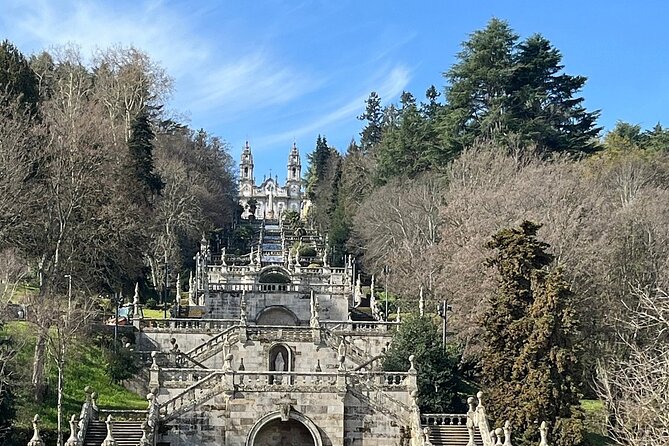 Douro Tour with Wine Tasting, River Cruise and Visit to Lamego - Lamego family vineyard wine tasting: what you’ll actually learn