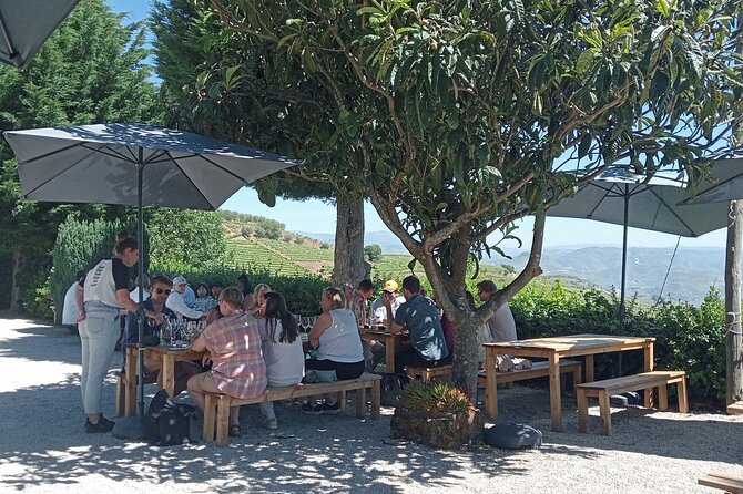 Douro Tour with Wine Tasting, River Cruise and Visit to Lamego - Group size and pacing, what to expect physically