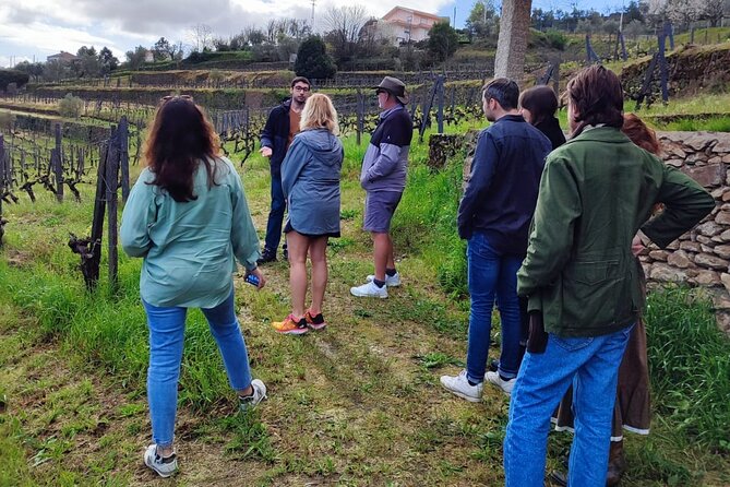 Douro Tour with Wine Tasting, River Cruise and Visit to Lamego - Iglesia da Lapa meeting point and how to start the day smart
