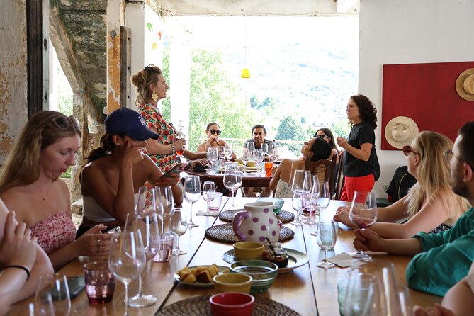 Douro Valley: A Half-Day Tour with visit, tastings & 1-h Cruise - Key highlights you should care about