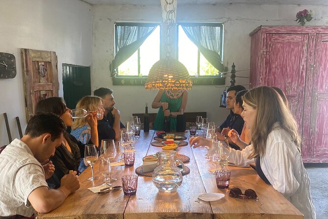 Douro Valley: A Half-Day Tour with visit, tastings & 1-h Cruise - The 1-hour cruise on the Douro River