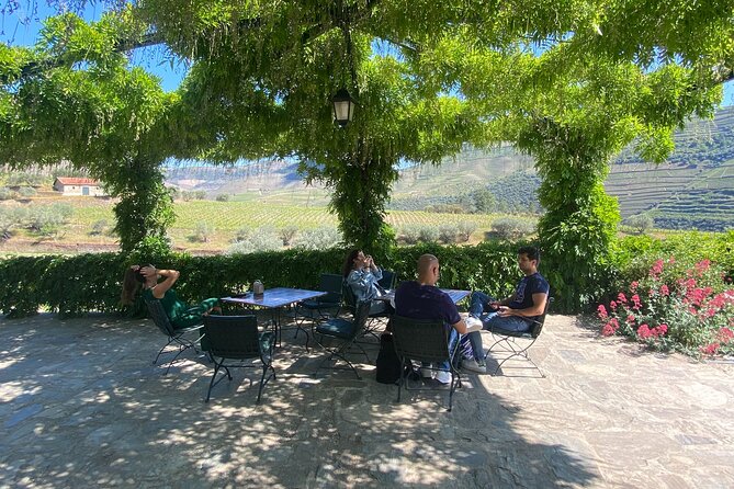 Douro Valley: A Half-Day Tour with visit, tastings & 1-h Cruise - Comfort and timing: how to plan your day around the valley
