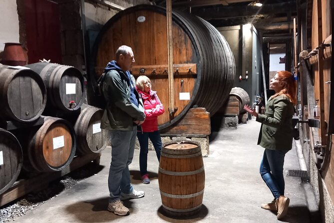 DOURO VALLEY & AMARANTE: Private Tour, Wine Tour and Cruise - The private format: why this tour’s value works