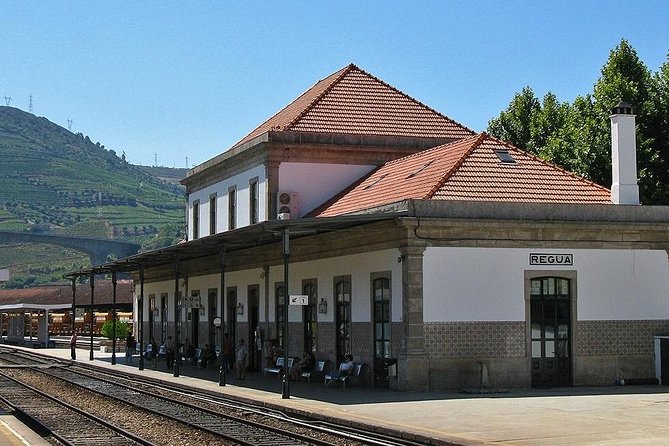 Douro Valley and Régua Panoramic Cruise with Lunch from Porto - Régua and the port-wine history you glimpse from the river