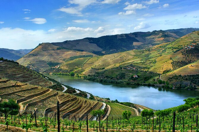 Douro Valley and Régua Panoramic Cruise with Lunch from Porto - Lunch onboard: what included really means in real life