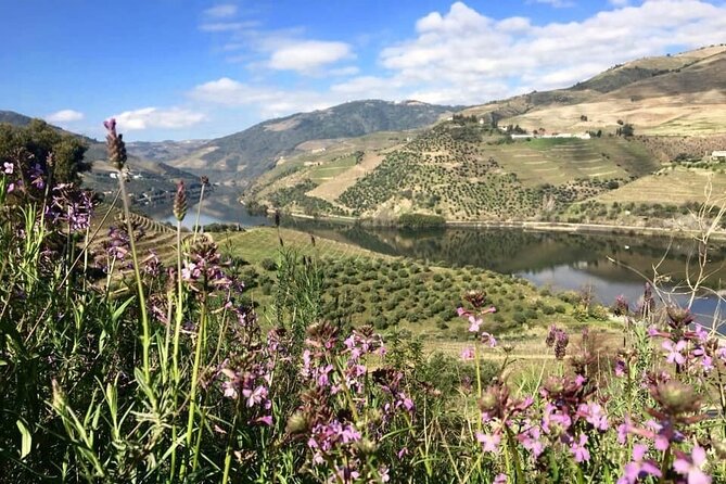 Douro Valley and Régua Panoramic Cruise with Lunch from Porto - Outside vs inside: how to get the best views