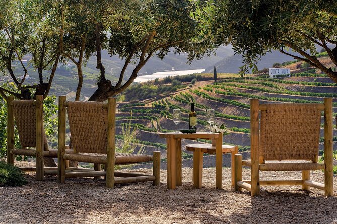 Douro Valley Best-Of Private Tour – Fully Customizable Experience - Provesende Wine Lunch, DOC Douro Pairings, and the Village Stroll