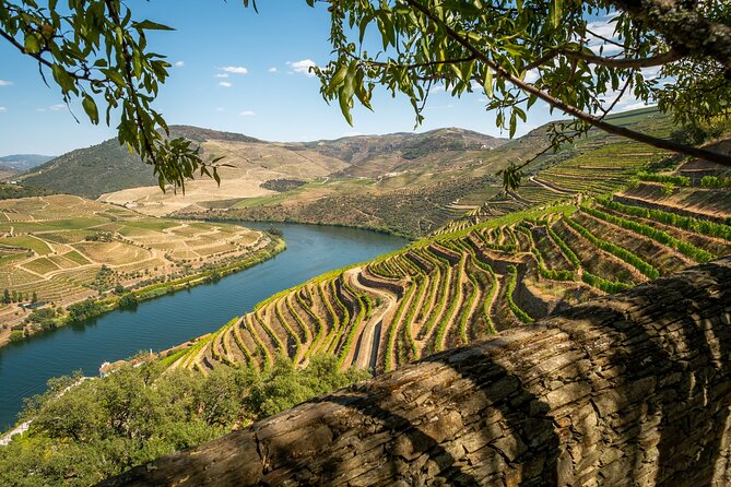 Douro Valley Best-Of Private Tour – Fully Customizable Experience - Guides Make or Break It, and This Tour’s Track Record Is Strong