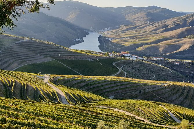 Douro Valley Best-Of Private Tour – Fully Customizable Experience - Price and Value: Why $249.63 Can Feel Fair for a Private Douro Day