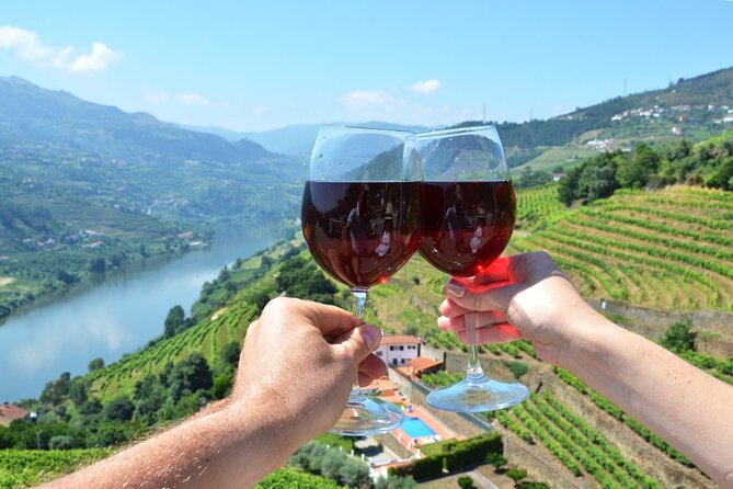 Douro Valley Delights Wine Tasting and Scenic Vistas - Quick hits on this Douro Valley wine day