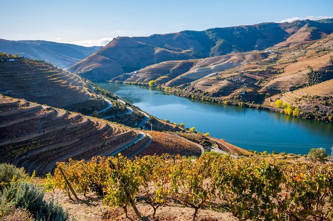 Douro Valley Delights Wine Tasting and Scenic Vistas - Stop 1: Porto warm-up before the wine country